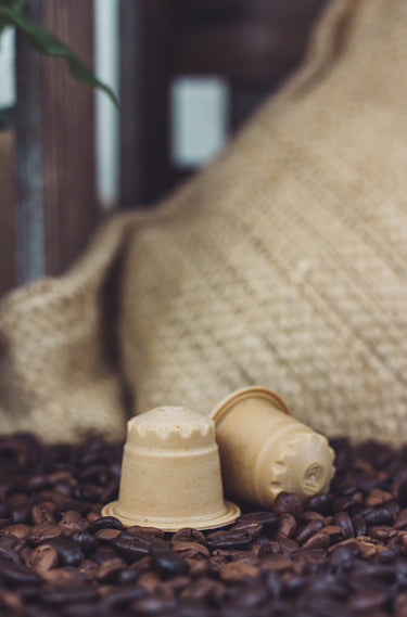 BULLS Aroma Edition Vanille - Espresso - Holzkapseln